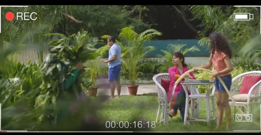 Image for - Zespri Kiwifruit Prank - Potted Plant